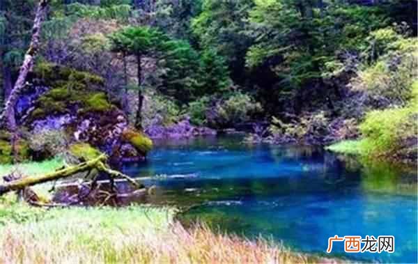 四川九寨沟什么时候去最合适(这个季节去最好