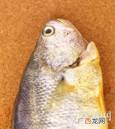骨科手术后吃什么伤口愈合快（这些食物是合伤