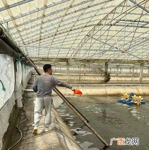 浙江睿洋水产养殖公司 浙江舟山水产养殖