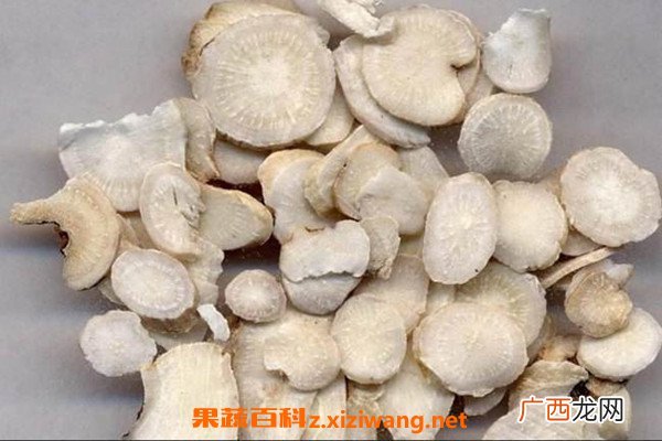 白芍药的功效与作用 白芍药的药用价值有哪些