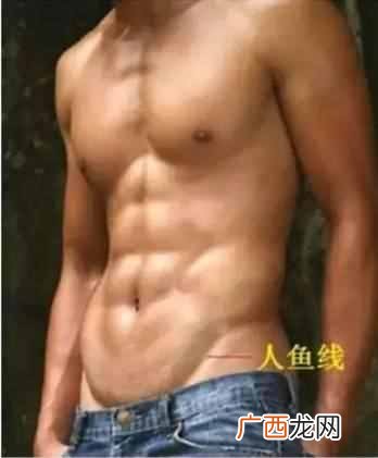 马甲线是什么意思(马甲线和人鱼线有什么区别