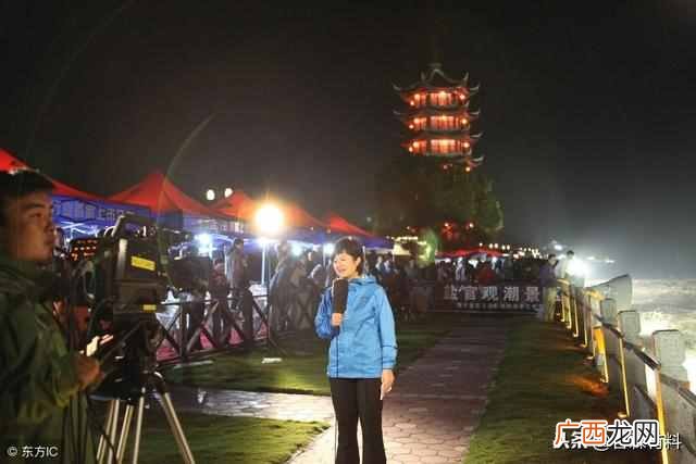 最高人气的播放器 什么播放器好用