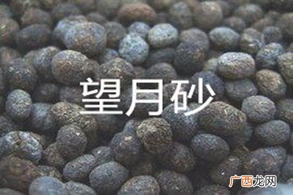 望月砂是什么望月砂怎么鉴别
