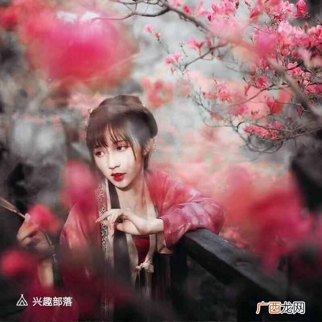 下一句是什么 惊鸿一瞥是什么意思