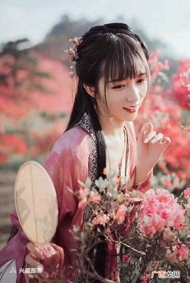 下一句是什么 惊鸿一瞥是什么意思