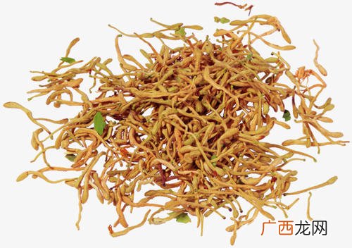 中药金银花的功效金银花泡水为什么不能天天喝