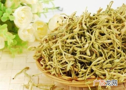 中药金银花的功效金银花泡水为什么不能天天喝