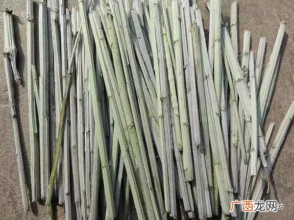 药店艾灸多少钱一盒 那里卖艾条