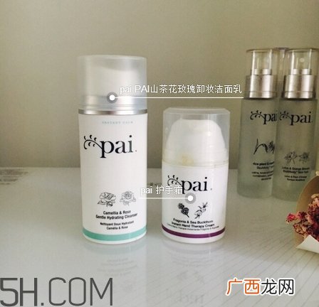 pai明星产品有哪些_pai哪些产品值得买