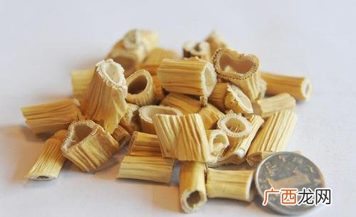 芦根是什么芦根的作用