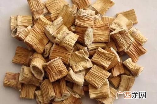 芦根是什么芦根的作用