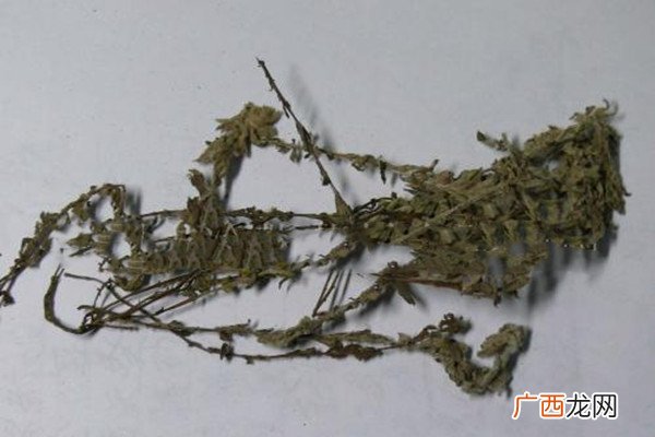 鹿茸草是什么中药鹿茸草的功效