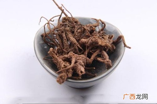 隔山香的功能主治隔山香的作用