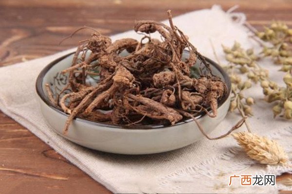 隔山香的功能主治隔山香的作用