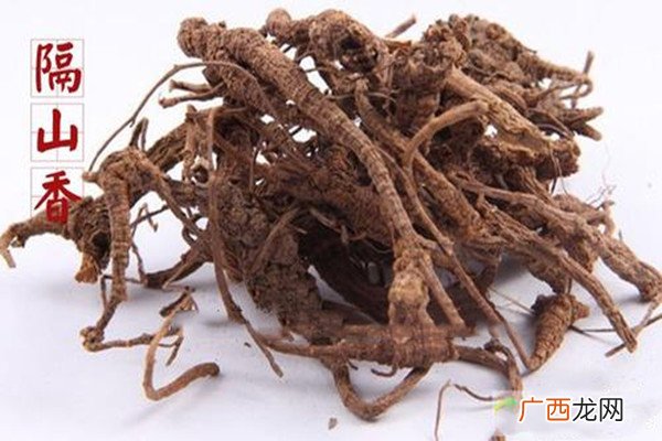 隔山香的功能主治隔山香的作用