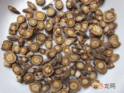 中药防风是什么防风的药用价值