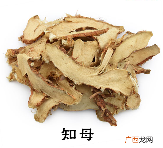 知母的功效有哪些知母功能主治什么