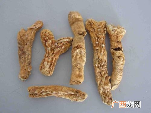 知母的功效有哪些知母功能主治什么