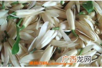 白兰花纯露的功效与作用