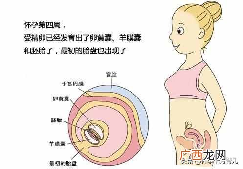 怀孕一个月有什么症状(孕妈需要注意的这些问