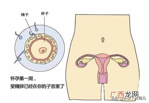 怀孕一个月有什么症状(孕妈需要注意的这些问