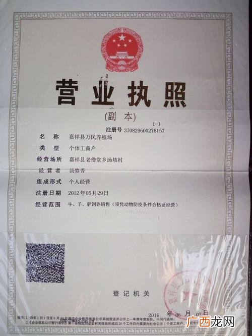养狗技术资料大全 宠物狗的养殖技术