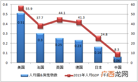 宠物狗什么品种好养 宠物狗养殖趋势