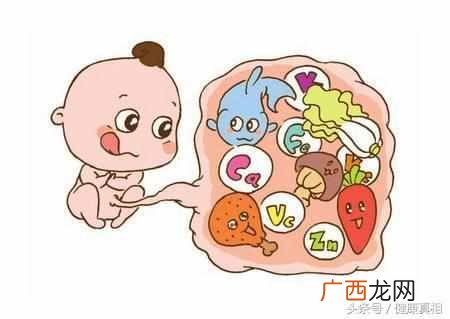 紫河车有什么作用 紫河车是什么的胎盘
