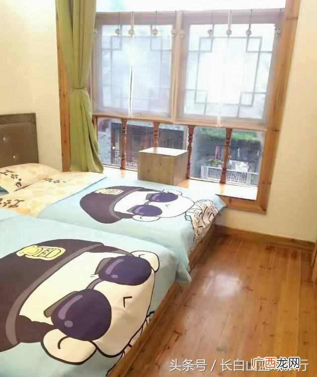 住青旅是什么意思（青旅和酒店比有什么不一样