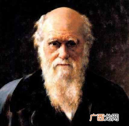 孔雀的尾巴像什么一样（尾巴什么情况下会开屏