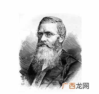 孔雀的尾巴像什么一样（尾巴什么情况下会开屏