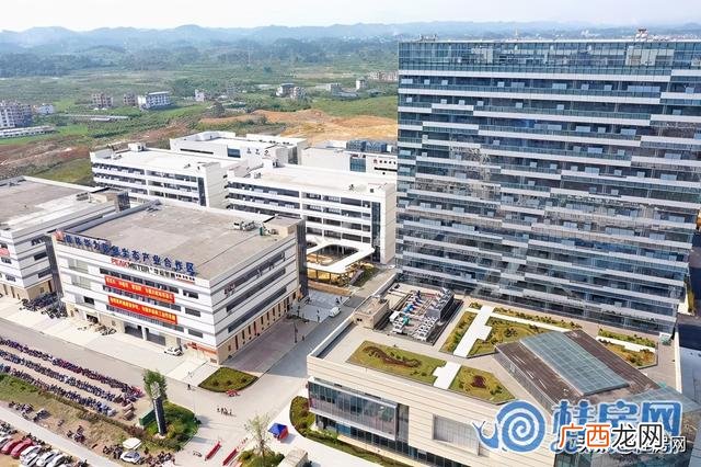 桂林市2021年重大项目统计表,桂林2021年重大项目