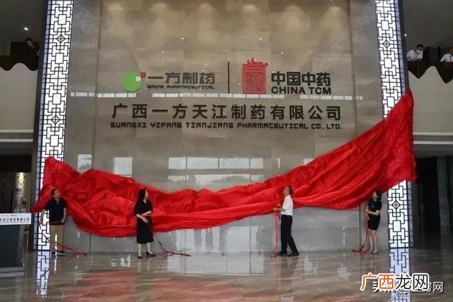 桂林市2021年重大项目统计表,桂林2021年重大项目