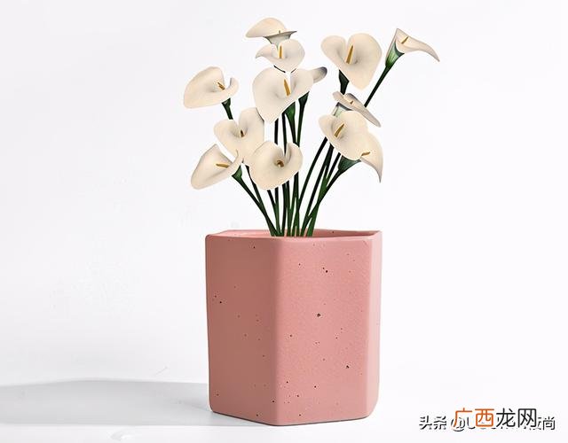 想开个十元店得花多少钱批发点在哪,十元店大概多少钱