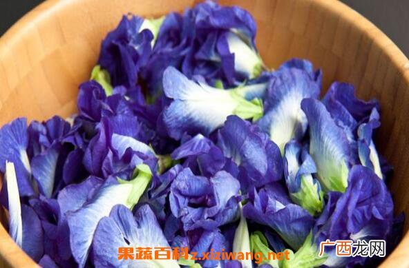 蝶豆花的功效与作用 蝶豆花不适合什么人吃
