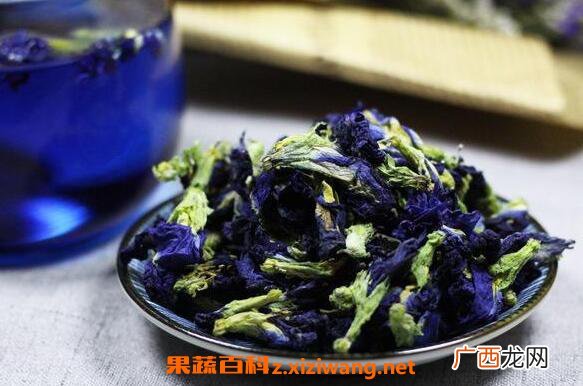 蝶豆花的功效与作用 蝶豆花不适合什么人吃
