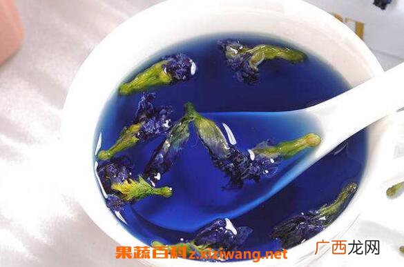 蝶豆花泡茶的功效与作用 蝶豆花泡茶的副作用