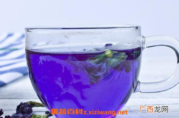 蝶豆花泡茶的功效与作用 蝶豆花泡茶的副作用