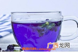 蝶豆花泡茶的功效与作用 蝶豆花泡茶的副作用