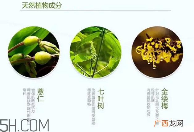 奥尔滨健康水的功效 奥尔滨健康水的其它使用方法
