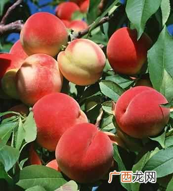 术后饮食禁忌 手术后不能吃什么食物