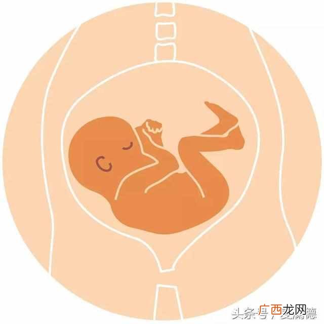 胎位loa能够顺产吗 B超胎位loa是什么意思
