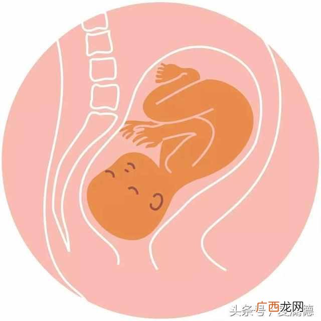 胎位loa能够顺产吗 B超胎位loa是什么意思