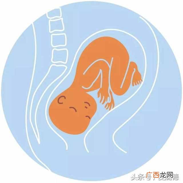 胎位loa能够顺产吗 B超胎位loa是什么意思