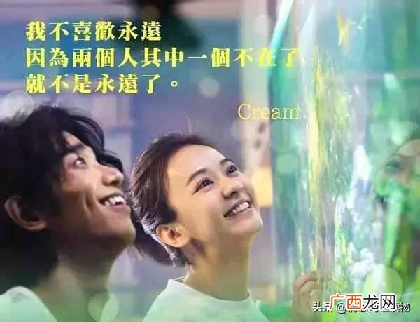 为什么要结婚比悲伤更悲伤的故事（简单爱情的
