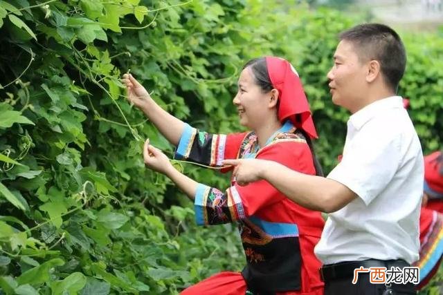 葛根饮料,葛佬饮料诚招代理商、经销商