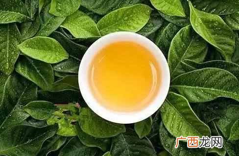 吃什么减肥效果最好（盘点最低脂肪的食物大全