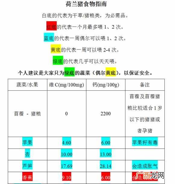 荷兰猪养殖技巧分享 荷兰猪吃什么食物