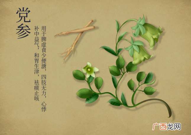 吃党参有什么好处？如何吃？不妨来看看无限能党参破壁片