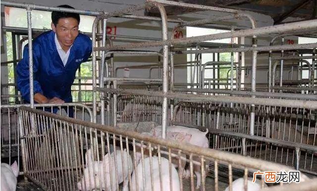 开养殖场赚钱吗 个体养殖户有赚吗